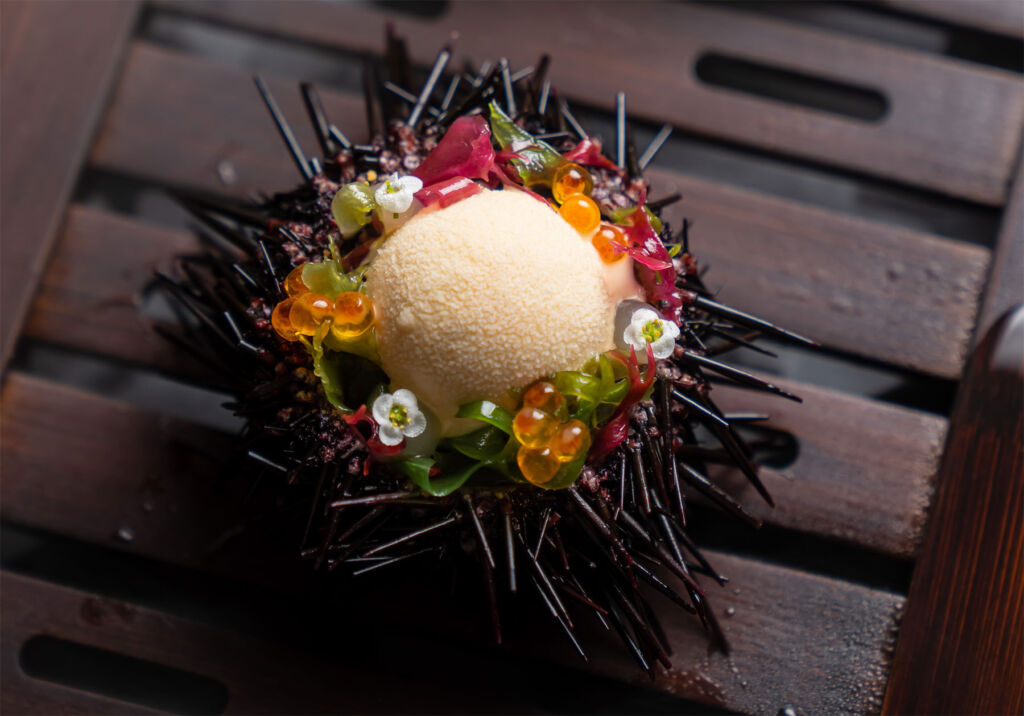 A dessert served within a sea urchin