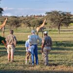 Guests with a ranger admiring wild giraffes
