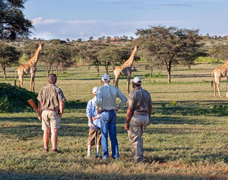 Guests with a ranger admiring wild giraffes