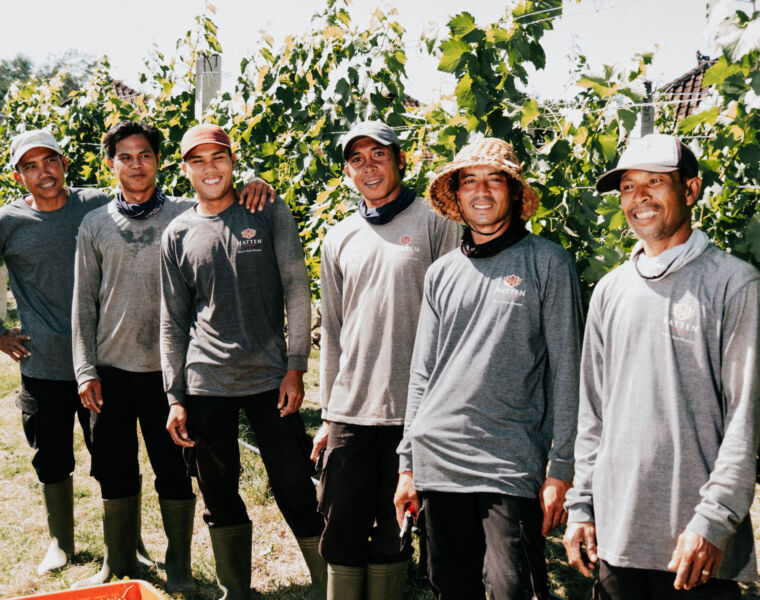 Some of the team in the vineyard