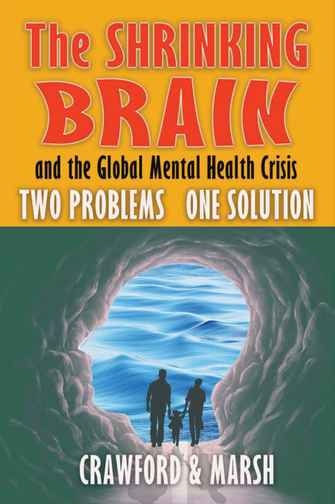 The cover of the book, The Shrinking Brain