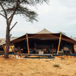 Wilderness Usawa Serengeti to Open Spacious Family Tent in December