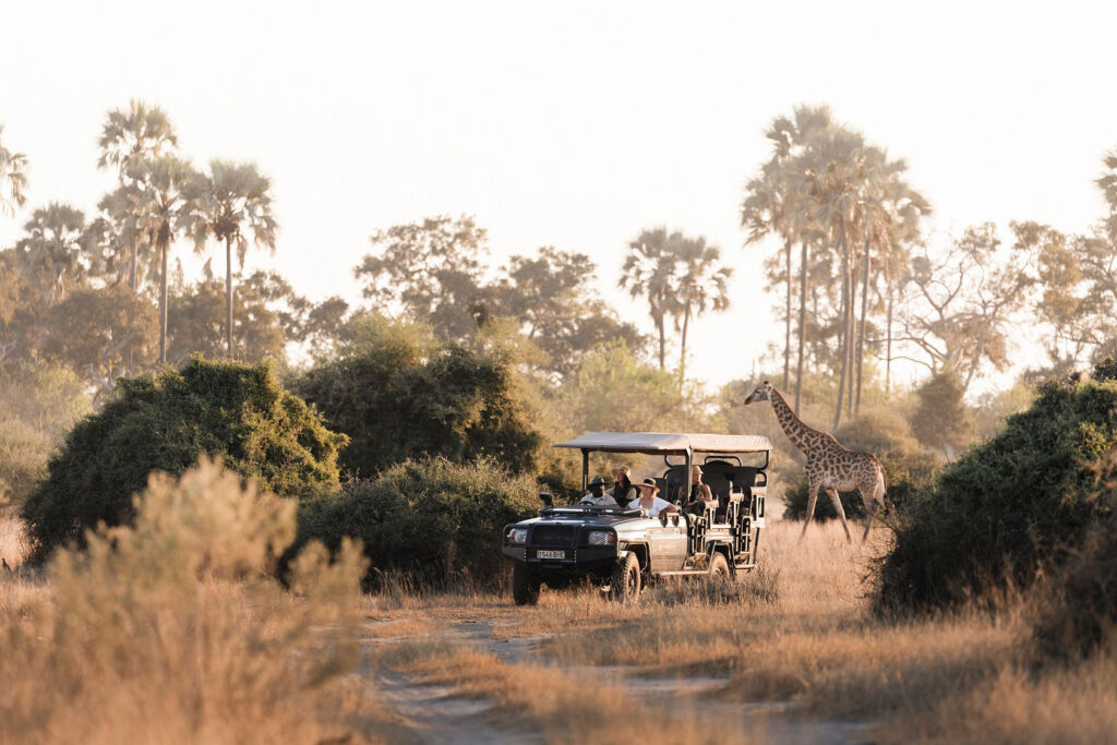 Guests admiring the wildlife on a safari