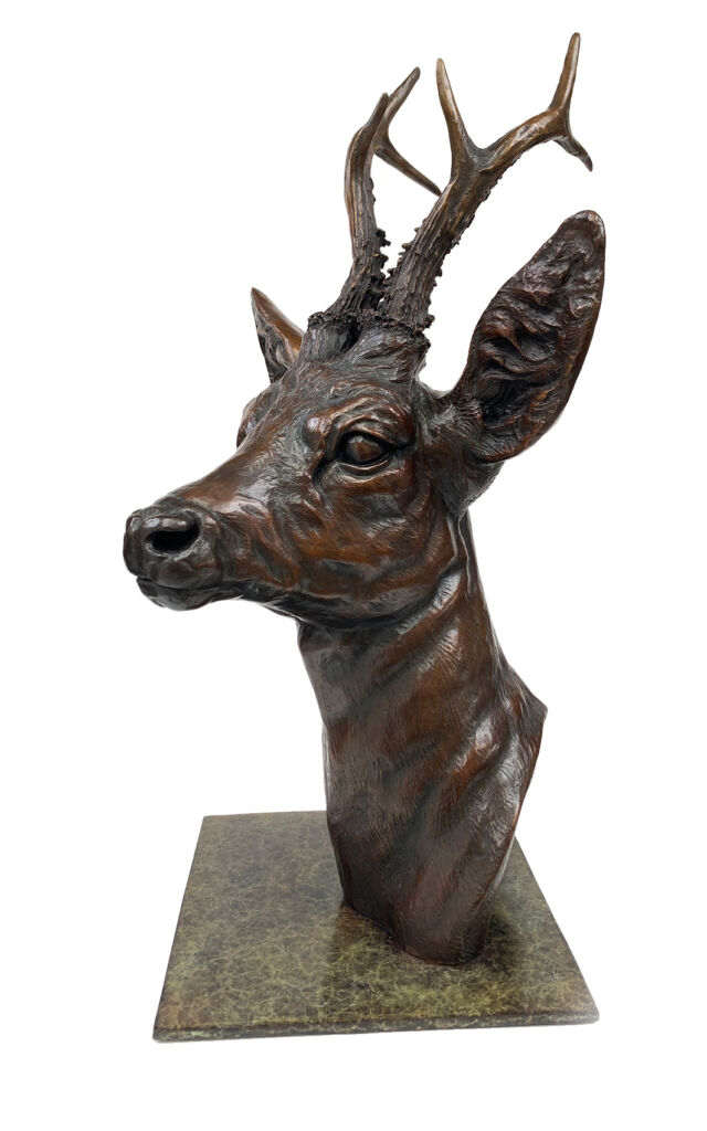 A bronze sculpture of a Roe Buck