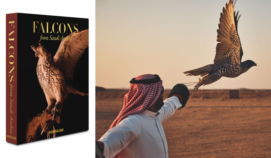 A photograph of the cover of the book and one of a man releasing a falcon