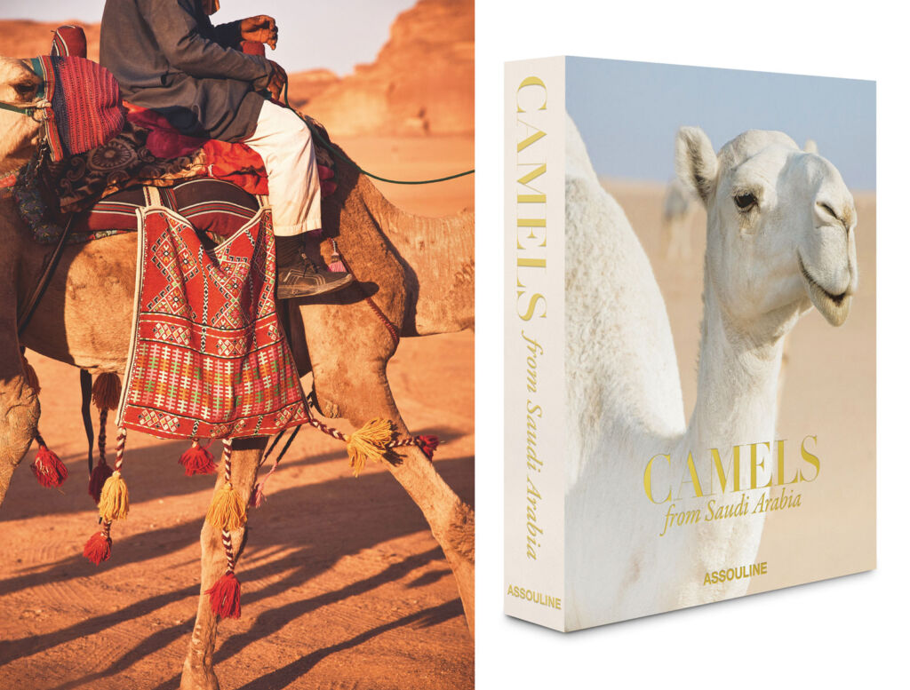 A photograph of a camel and one of the book cover