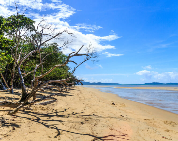Tropical North Queensland - What's New and Events Taking Place in 2024