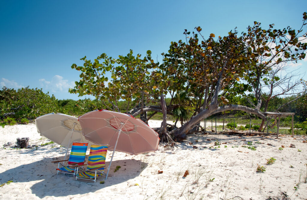 Chairs and parasols on a beach in the Cayman Islands
