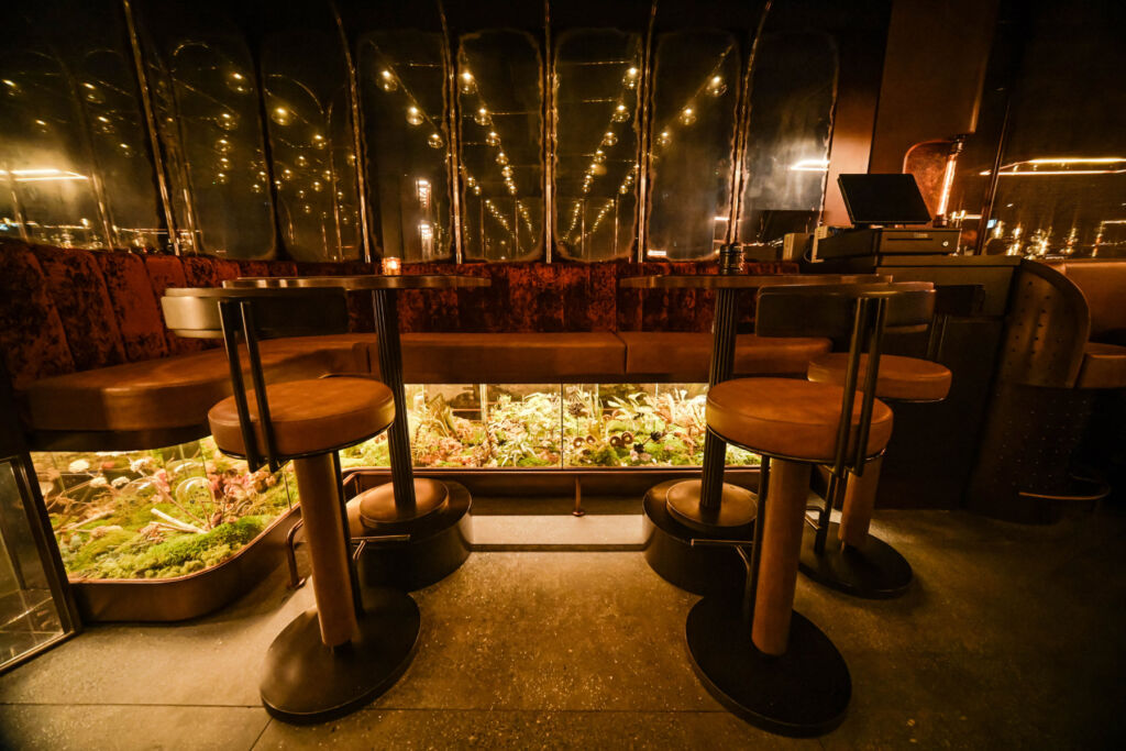 A photograph showing the high bar stools and vivariums