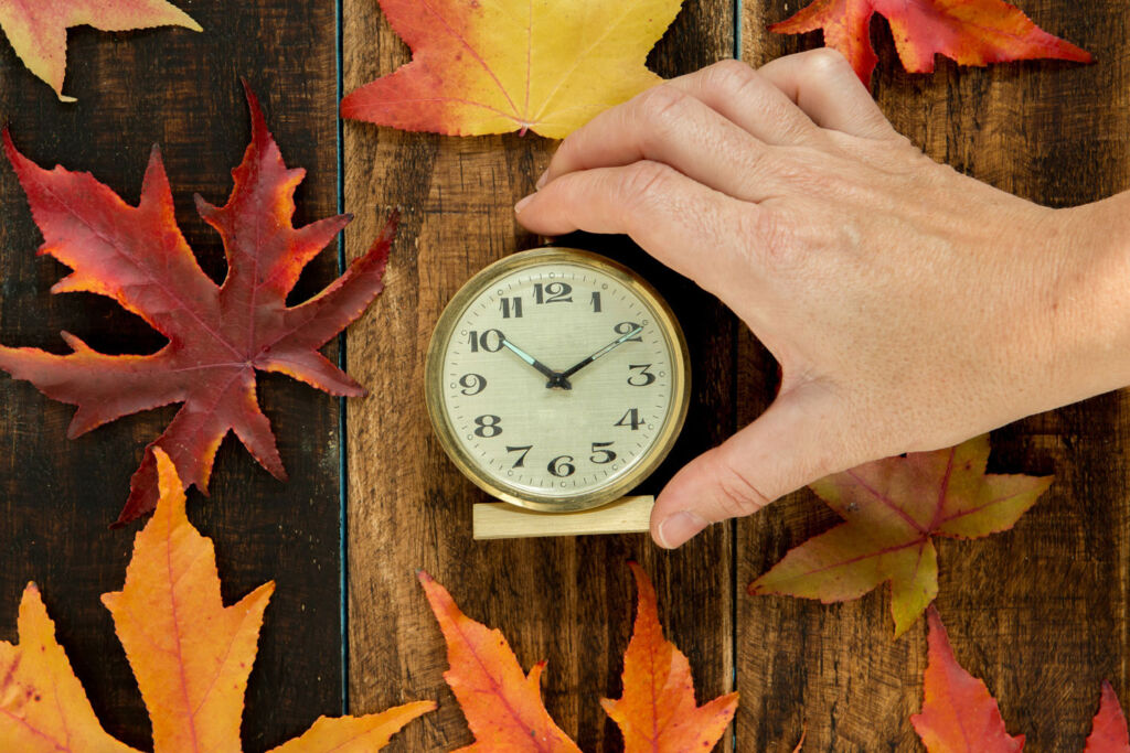 A clock surrounded by autumnal leaves