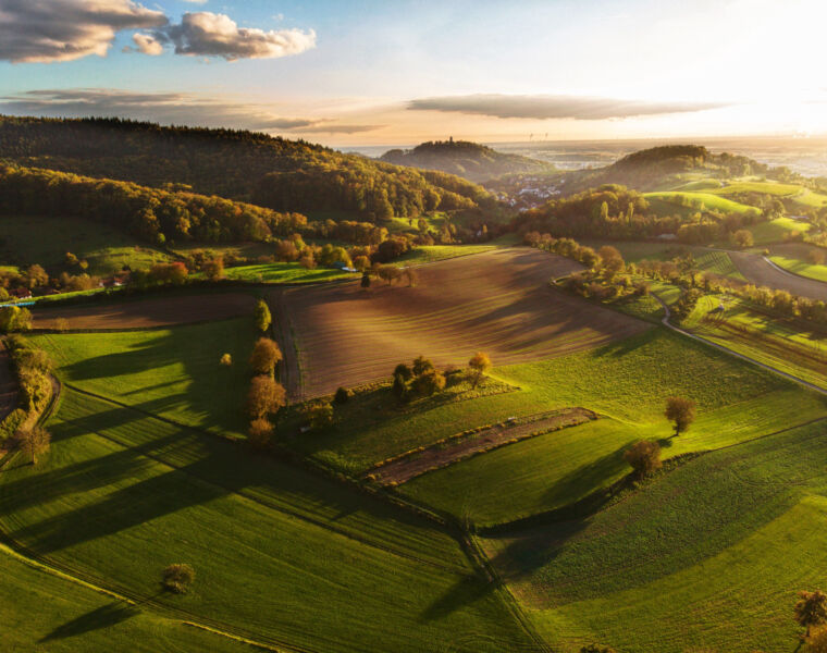 Embracing the Wonders of Nature in Germany’s Odenwald Region