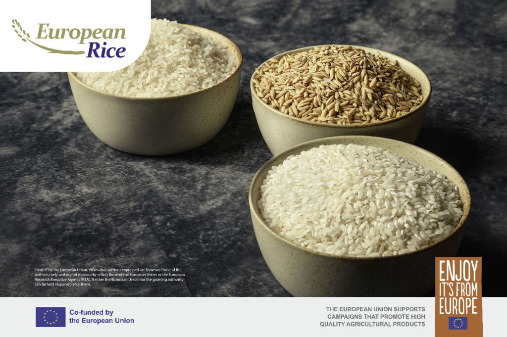 Three varieties of uncooked rice in bowls