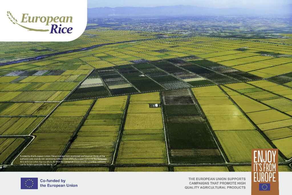 An aerial view of the paddy fields in Europe