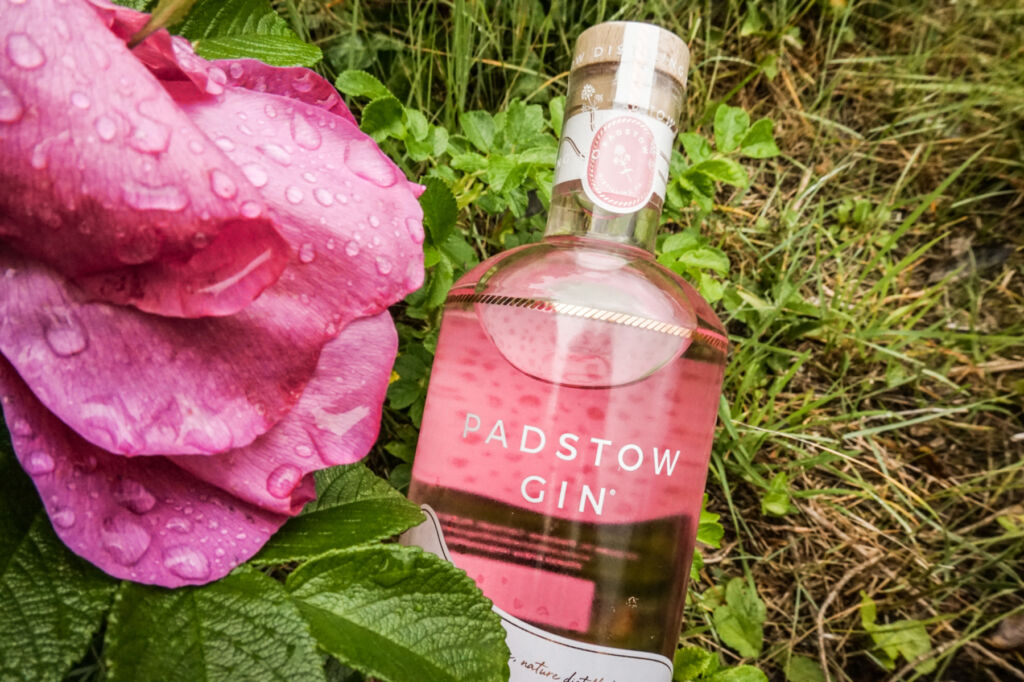 Padstow Distilling, the Award-winning Drinks Maker Bottling the Spirit of Cornwall