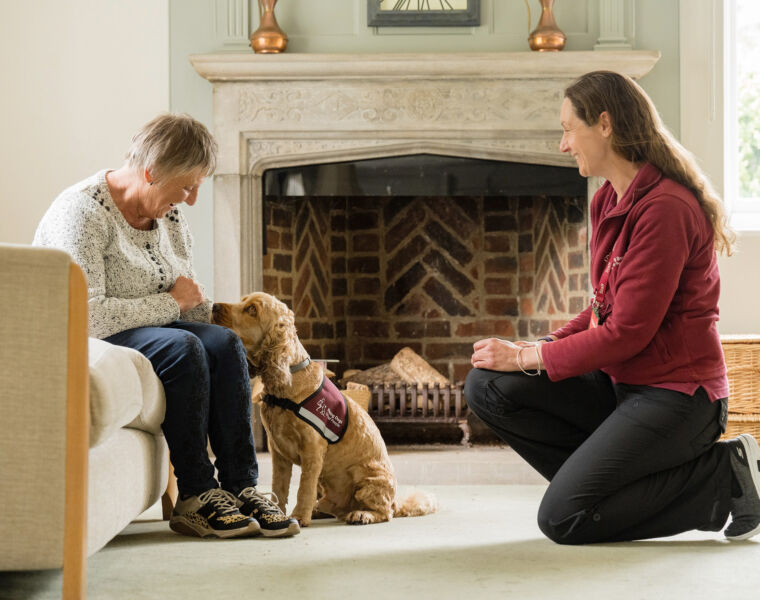 Elite Hotels Announces Partnership with Hearing Dogs for Deaf People Charity