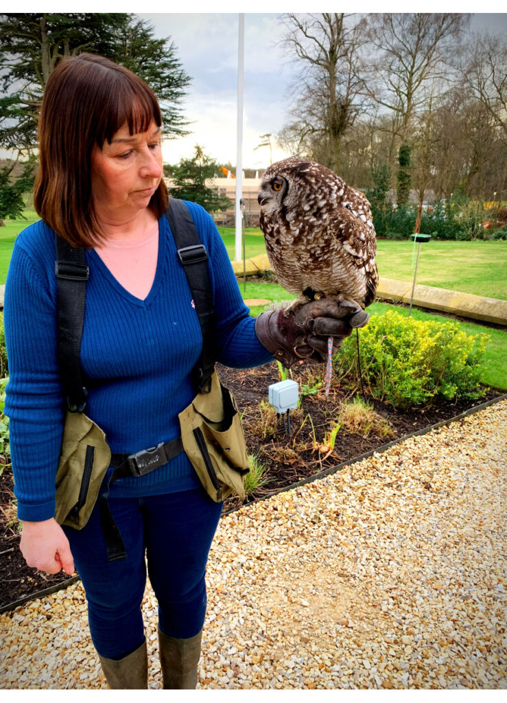 Mandy with an African Eagle Owl on her hand