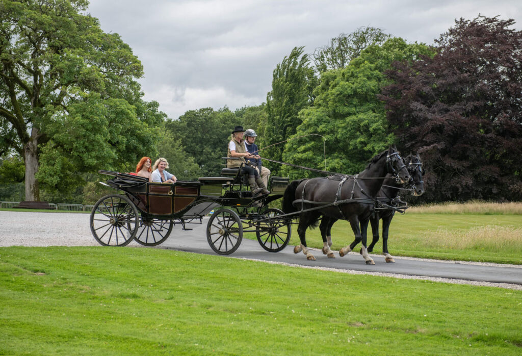 A carriage ride through the grounds of the property