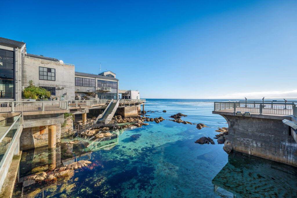 The Great Tide Pool and exterior back deck of the Monterey Bay Aquarium