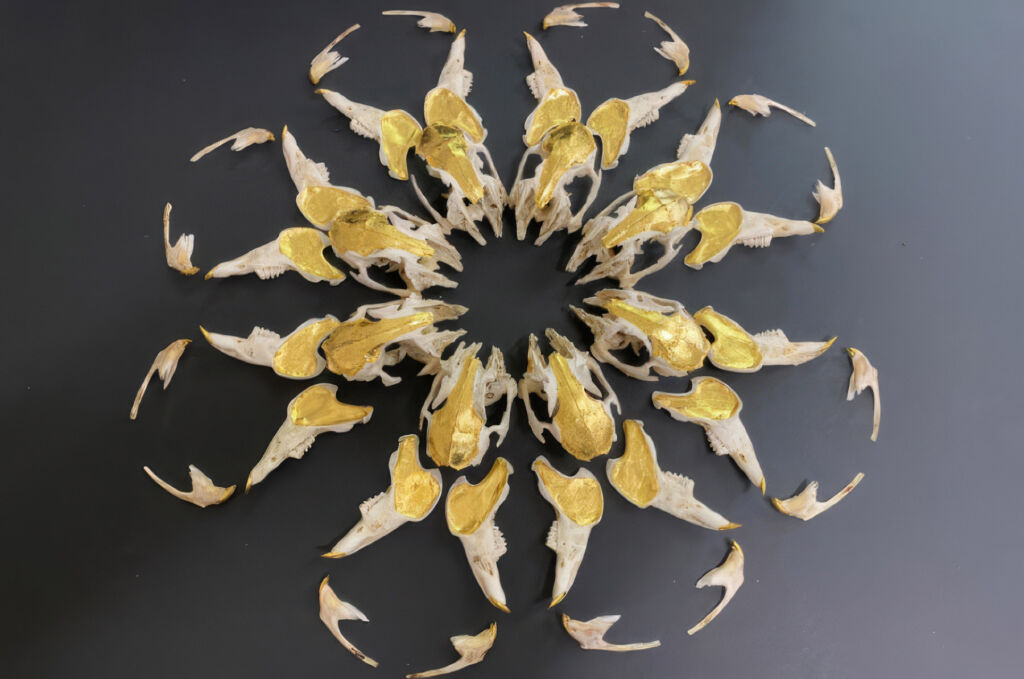 Women in Art Fair Returns with Challenging Programme for London Frieze Week 4 Women in Art Fair Returns with Challenging Programme for London Frieze Week