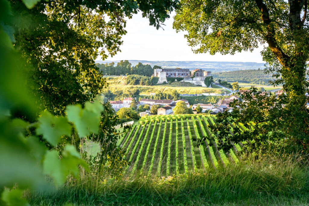 Go Beyond the Barrel By Exploring Cognac's Lesser-Known Side