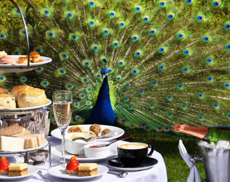 Timeless Tradition Meets Autumnal Warmth in Prestonfield’s Opulent Afternoon Tea