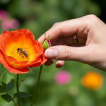 Scientists Develop a Groundbreaking Superfood to Save Honeybees