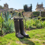 Blenheim Palace and Holland Cooper Step Out for Wellbeing with ‘Wellie’ness Walks