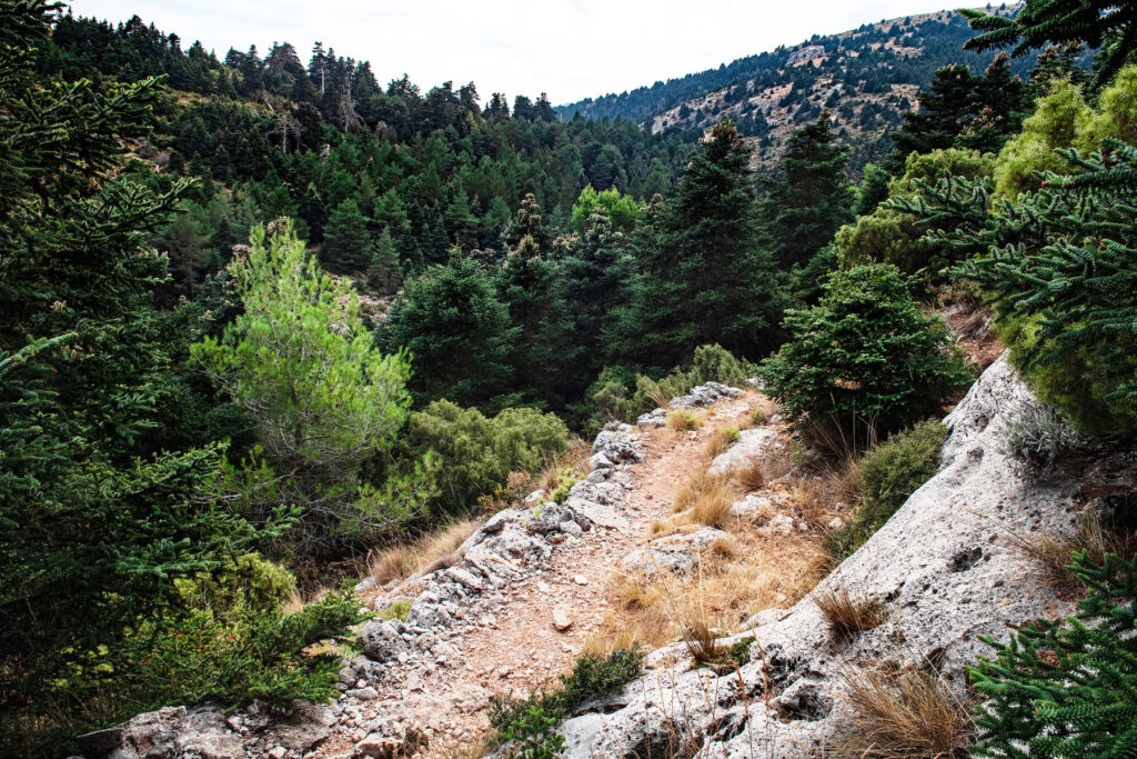 Beyond the Beach, Autumn Hiking Adventures Across the Costa del Sol 15 A rocky trail in the Sierra de las Nieves National Park