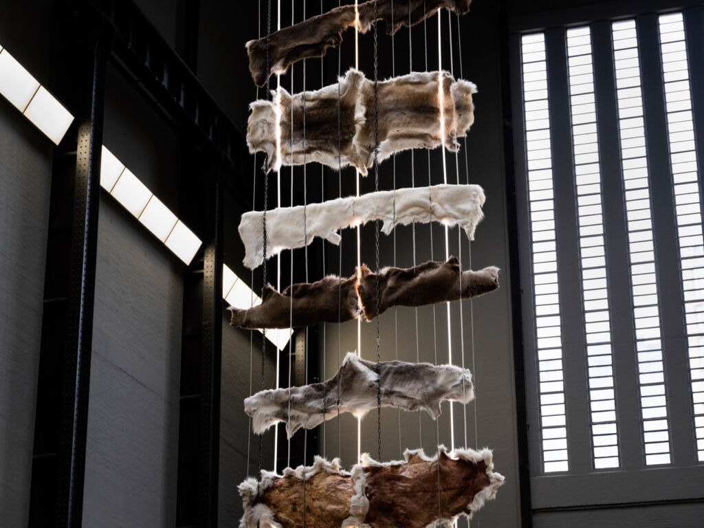 An animal hide sculpture hanging from the ceiling