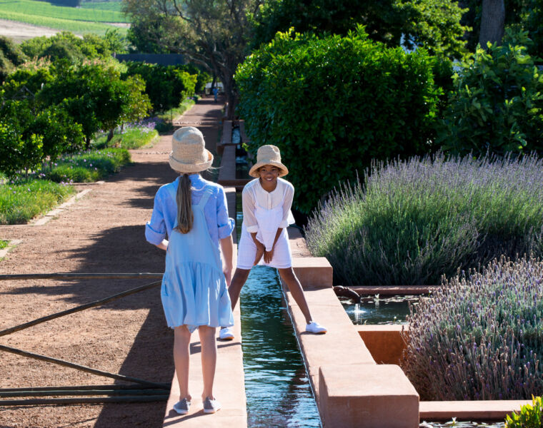 Babylonstoren at 15: A Living Tapestry of Nature, Heritage and Heart 23 Babylonstoren at 15: A Living Tapestry of Nature, Heritage and Heart