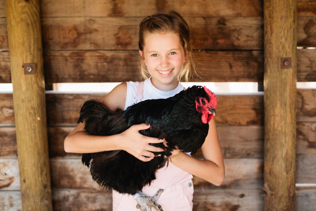A smiling young girl getting to know a chicken in the den