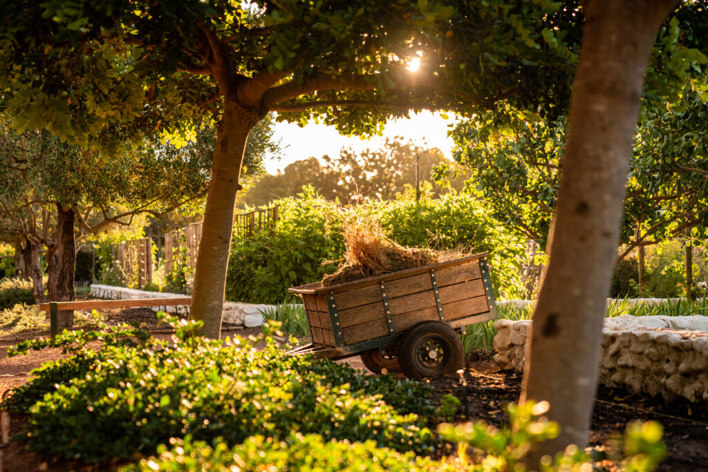 A cart illuminated by dappled sunlight in the garden