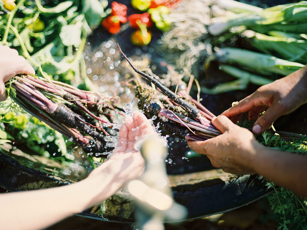Freshly picked produce being washed before serving