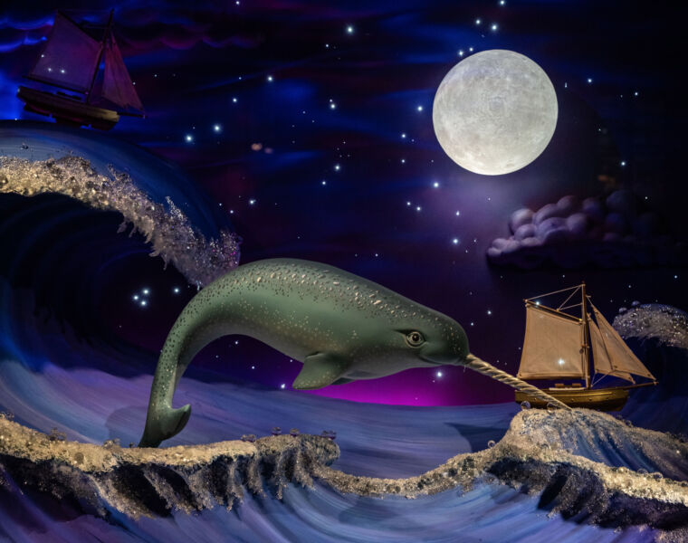 Fortnum & Mason Unveils Magical 2025 Christmas Windows on Piccadilly 71 A Narwhal jumping out of the water under a full moon