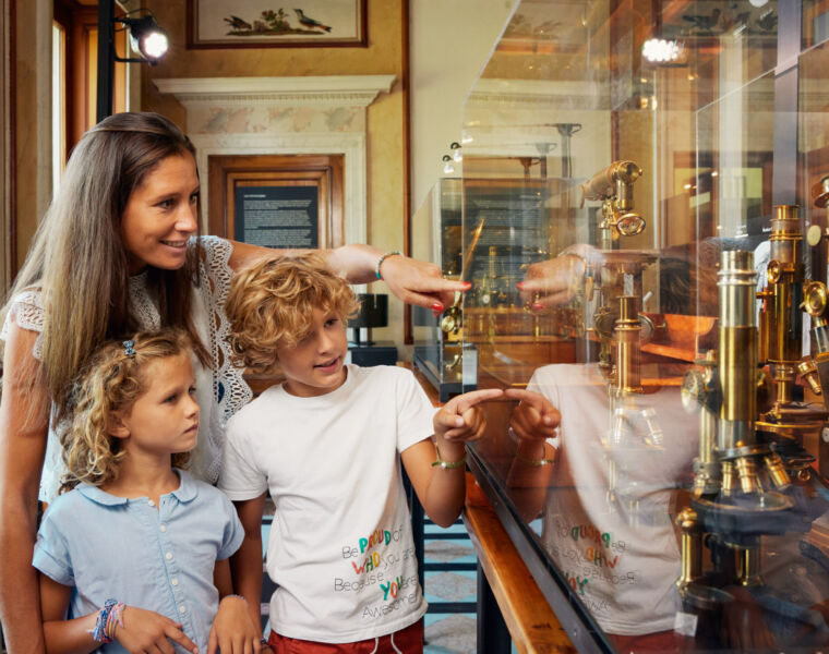 Embark on a Magical Family Adventure in Geneva with The Guardians