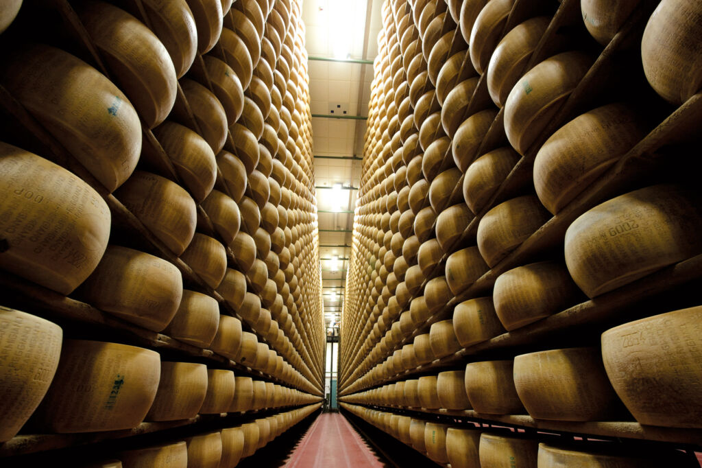 Multiple cheese wheels stacked in a warehouse