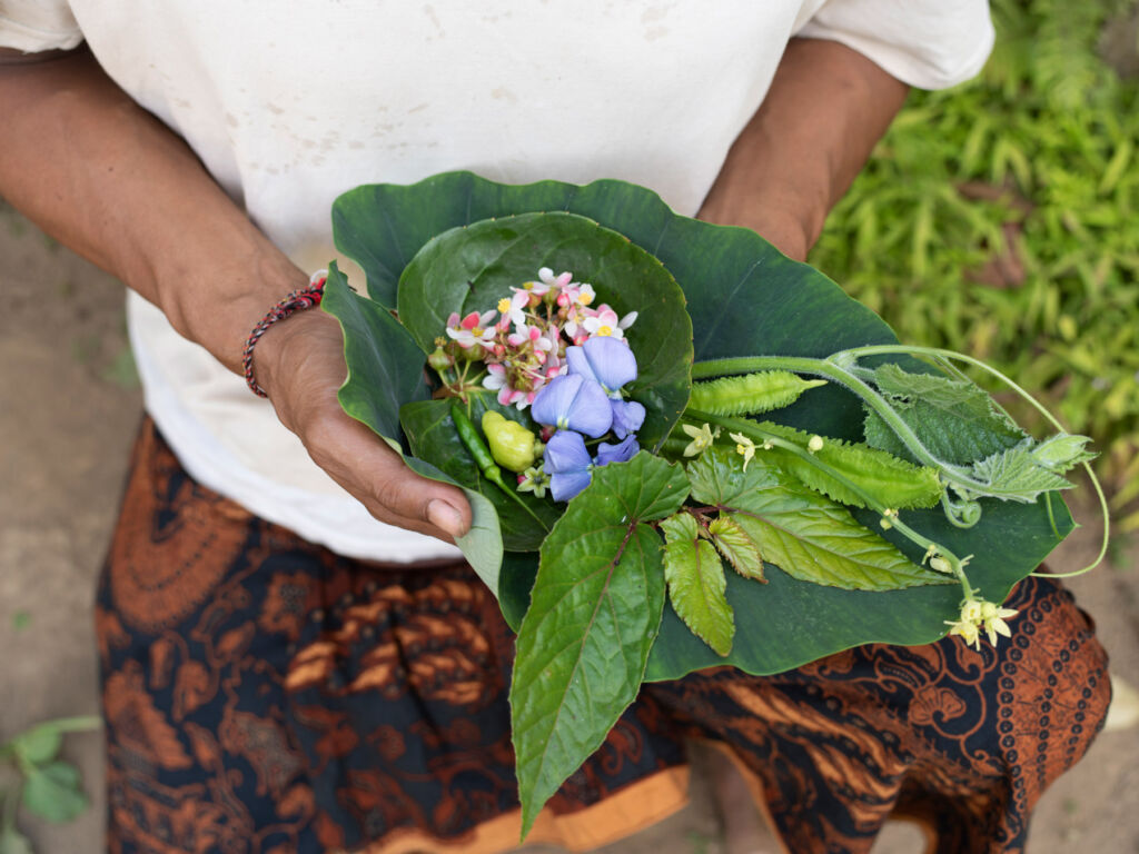 Freshly picked ingredients presented as a dish