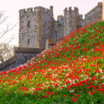 Arundel Castle’s Gardens Crowned 2025 Historic Houses Garden of the Year