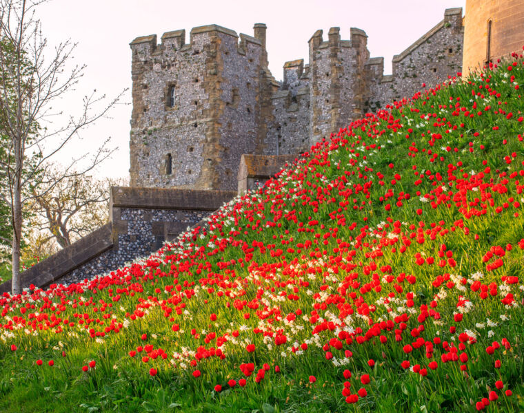 Arundel Castle is the Winner of the 2025 Historic Houses Garden of the Year 13 Arundel Castle’s Gardens Crowned 2025 Historic Houses Garden of the Year